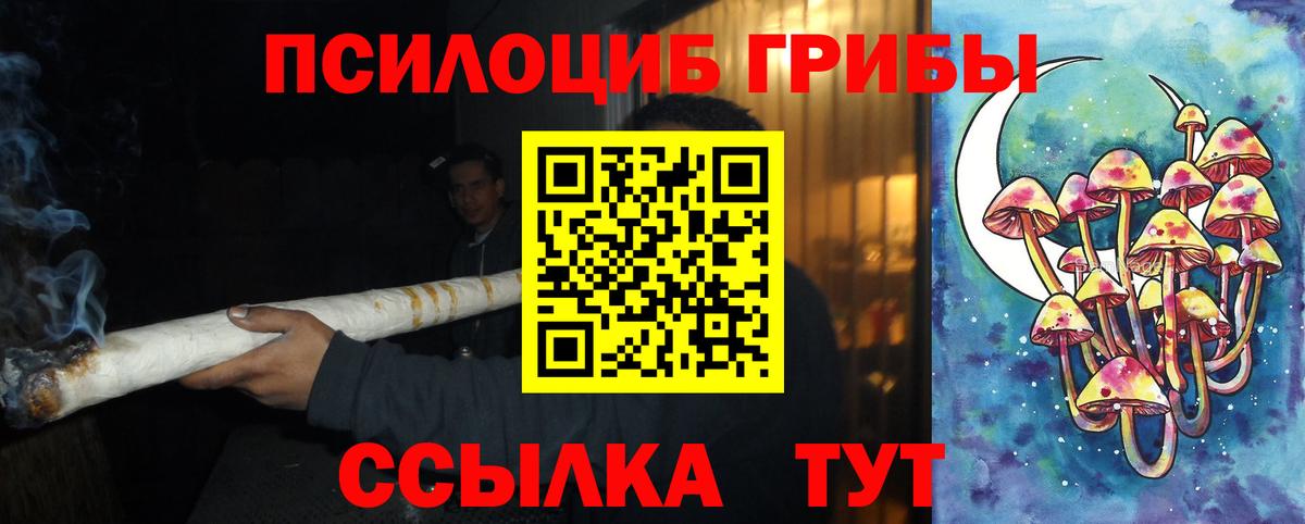 Галлюциногенные грибы мицелий  купить  сайты  Магадан  Вход с VPN 
